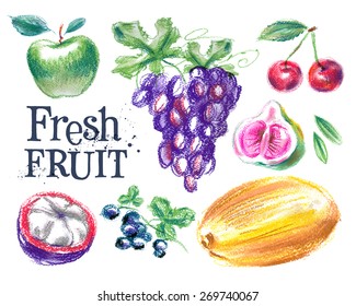 fresh fruit vector logo design template. ripe food or harvest icon.