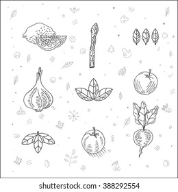 Fresh fruit and vegetable icons set sketch drawing, for  vegetarian food, vegan market and restaurant design