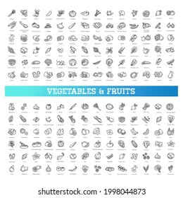 Fresh fruit and vegetables. Big icons set. 168 vector icons