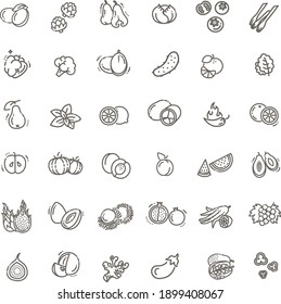 Fresh fruit and vegetables. Thin line flat design