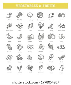 frutas y verduras frescas. Conjunto de iconos vectores