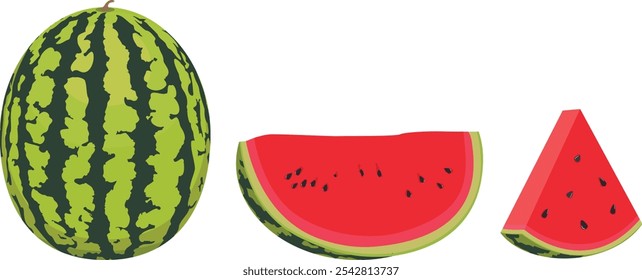 fresh fruit watermelon vector illustration