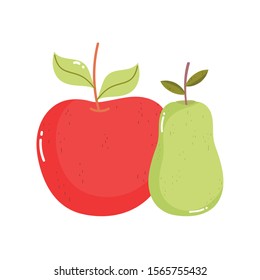 fresh fruits apple and pear on white background vector illustration