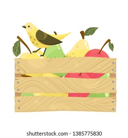 Fresh fruits apple, pear,bird in a wooden box. The concept of the harvest festival. Flat vector illustration, isolated on white background.