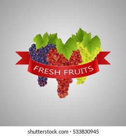 Fresh Fruits background. vector illustration