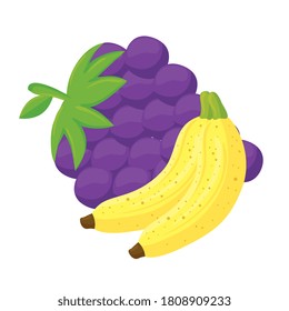 fresh fruits, bananas and grapes, in white background vector illustration design
