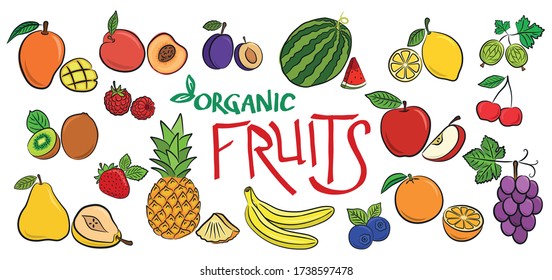 Fresh fruits and berries, tropical vegetarian food with organic vitamins. Text organic fruits. Colorful vector illustration on isolated background in flat cartoon style.