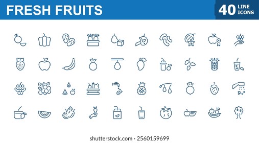 Fresh fruits icon set. Contains such icons as nutrition, vitamin, grape, plum, pomegranate, guava, tamarind, diet. Minimalist thin outline icons pack. Editable vector stroke.