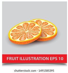 Fresh fruits illustration eps 10