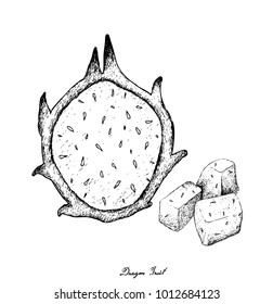 Fresh Fruits, Illustration of Hand Drawn Sketch Ripe and Sweet Dragon Fruit or Pitaya Isolated on White Background.