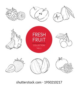 Fresh fruits illustrations collection isolated. Mix fruits set vector drawing, organic food hand drawn, Vol.1