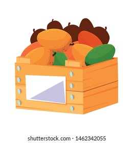 fresh fruits mangoes in wooden basket