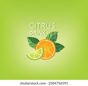 Fresh fruits with mint leaves. Fresh orange, lime, mint sliced pieces. Vector colorful citrus food background with fruits juice drink.