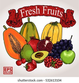 fresh fruits organic farm. hand drawn vector easy editable and separate