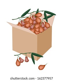 Fresh Fruits, Red Water Apple or Rose Apple With Green Leaves in A Cardboard Box, Ready for Shipping or Delivery. 
