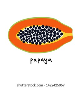 Fresh fruits set Vector Illustration. Colorful image mango
