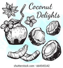 Fresh fruits vector collection in linear style. Hand-drawn graphic coconuts isolated. Perfect menu template for vegetarian/vegans, fruitarians. Organic, market, shop, fruit symbols, healthy lifestyle.