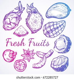 Fresh fruits vector collection in linear style. Hand-drawn graphic fruits isolated. Perfect menu template for vegetarian/vegans, fruitarians. Organic, market, shop, fruit symbols, healthy lifestyle.