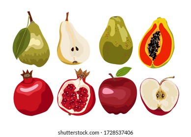 Fresh fruits vector collection. Set of sweet fruits for health. Design for greeting card, recipe, menu