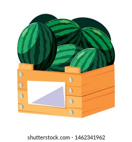 fresh fruits watermelon in wooden basket