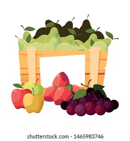 fresh fruits in wooden basket