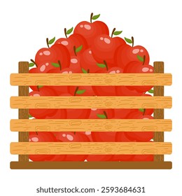 Fresh Fruits in Wooden Crates. Fresh Apples Illustration
