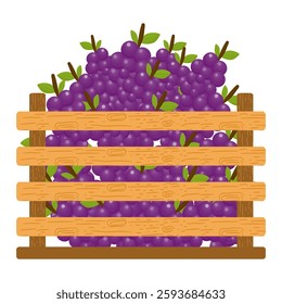 Fresh Fruits in Wooden Crates. Fresh Grapes Illustration
