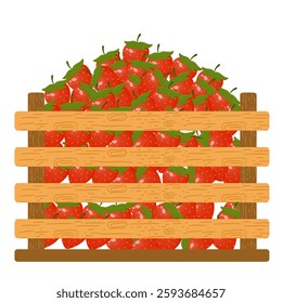 Fresh Fruits in Wooden Crates. Fresh Strawberries Illustration