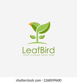 Fresh fun nature leaf bird logo icon vector template on white background