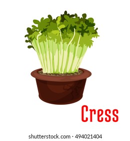 Fresh garden cress isolated cartoon icon. Green sprouts of cress salad in flower pot for vegetarian food, salad recipe, healthy food design