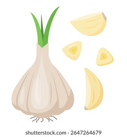 Fresh Garlic bulb in skin and cloves. Head of garlic in peel, slices and pieces. Cook ingredients,  Spices. Organic food. Vector icon illustration isolated on white background.