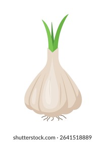 Fresh Garlic bulb in skin icon. Head of garlic in peel. Cook ingredients, spices. Organic food. Vector illustration isolated on white background.