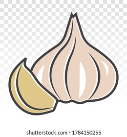 Fresh garlic bulbs / allium sativum flat colours icons for apps and websites