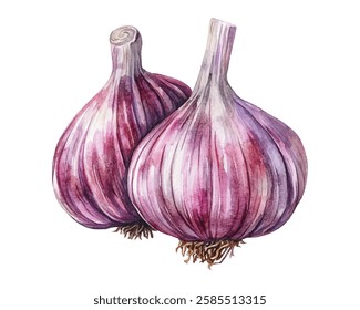 Fresh garlic bulbs with purple streaks, perfect for adding flavor to your dishes. This high-quality image captures the natural beauty and texture of garlic, making it ideal for culinary blogs, recipes