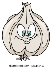 Fresh garlic cartoon