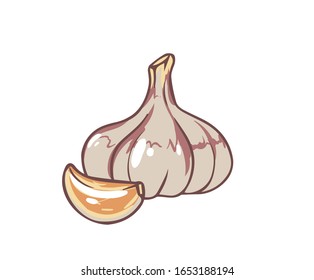 Fresh garlic. Cartoon vector icon isolated on white background.