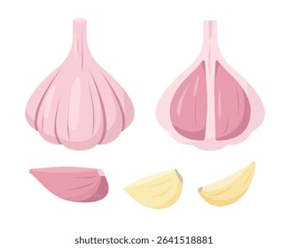 Fresh Garlic and cloves. Whole garlic in peel, half and pieces. Cook ingredients,  Spices. Organic food. Vector icon illustration isolated on white background.