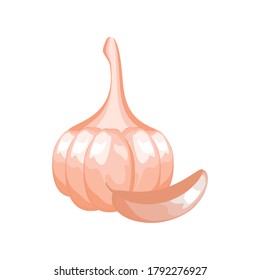 fresh garlic on white background vector illustration design