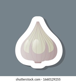 sticker de ajo fresco sabroso alimento vegetal saludable concepto de alimento vectorial ilustración