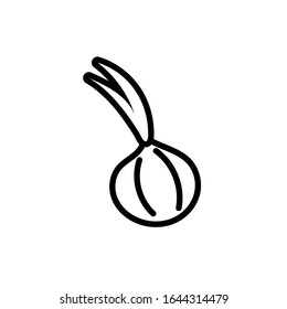 fresh garlic vegetable line style vector illustration design