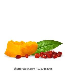 Fresh garnet, nutritious and tasty mango. Symbols of fruits. Elements for label design. Vector illustration. Fruits ingredients in triangulation technique. Mango and garnet low poly.