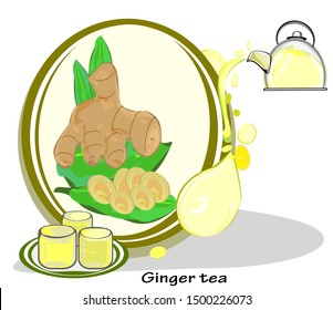 Fresh ginger, hot tea, in a kettle and glass tea set, kitchenware and breakfast - afternoon, drink healthy herbs and Asian plants, ingredients for Thai food, vector illustration