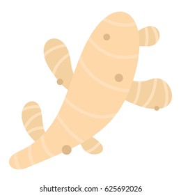 Fresh ginger icon flat isolated on white background vector illustration