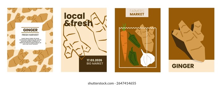 Ilustração de gengibre fresco. Cartazes simples com raiz vegetal para a propaganda de mercado dos agricultores. Modelos de vetor com copyspace. Conjunto de especiarias colhidas em estilo plano e desenhado à mão mínima. 