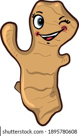 Fresh ginger ,illustration, vector on white background
