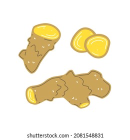 Fresh ginger rhizome, chopped ginger. Vector flat illustration