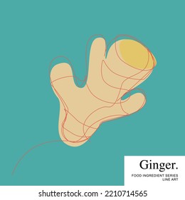 Fresh ginger rhizome, Food Ingredient Cartoon Line Art Vector Template