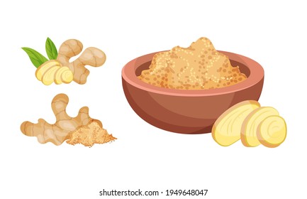 Fresh Ginger Rhizome as Fragrant Kitchen Spice Whole and Powdered in Bowl Vector Set