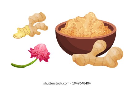 Fresh Ginger Rhizome as Fragrant Kitchen Spice with Blooming Flower Vector Set