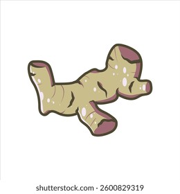 Fresh Ginger root with detailed natural texture editable vector, high quality vegetable illustration suitable for food packaging, healthy menu food design